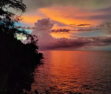 Koh Rong Sanloem Hostel | Dragonfly Guesthouse M'Pai Bay