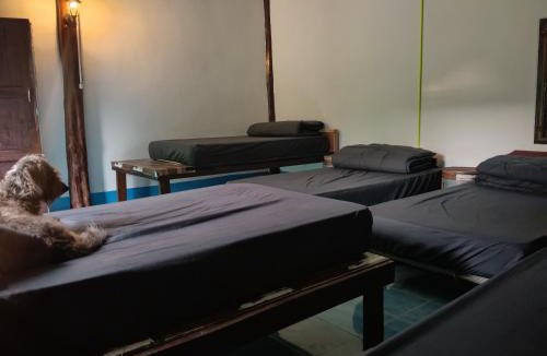 Ko Lanta Hostel | Easy sleep
