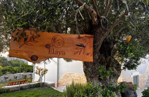 Kamisiana Apartment | Elaya Experience