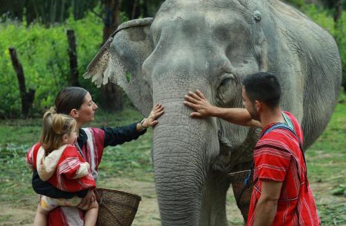 Hang Dong House | Elephant Jungle Eco Stay Chiang Mai