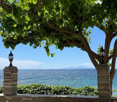 Psakoudia Hotel | EverBlue Suites - Halkidiki Beachfront