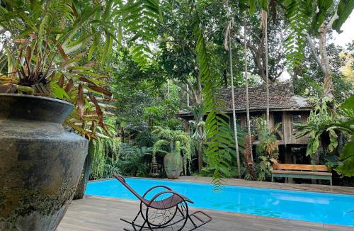 San Sai Resort | Fern Paradise