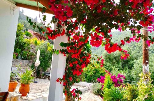 Agni House | Fior Di Corfu