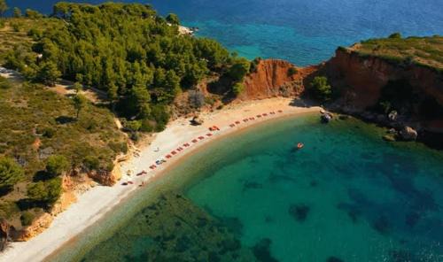 Patitiri Apartment | Flower's Studio Alonnisos - Artemis Summer Escape