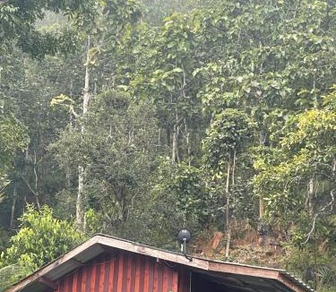 Samoeng Resort | Forest Guesthouse