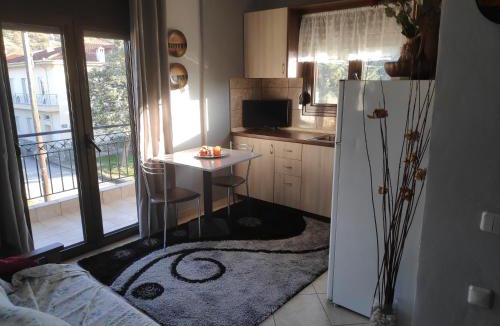 Trikala Apartment | Forest View Apartments