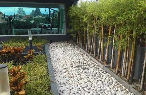 Jomtien Apartment | Fresh studio apartment in attractive area in Pattaya