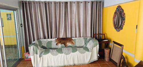 Nong Kae House | Friendly, artsy private rooms near mountains