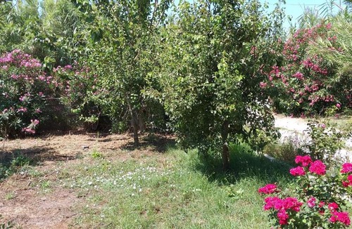 Ag. Georgios House | front of the beach