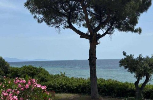 Gerakini Apartment | Galini 2 Beachfront Apartment