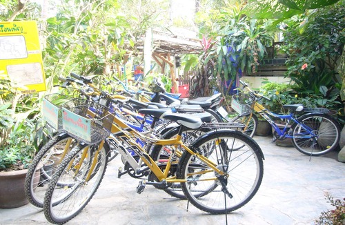 Suan Luang House | Garden Homestay in Ampawa