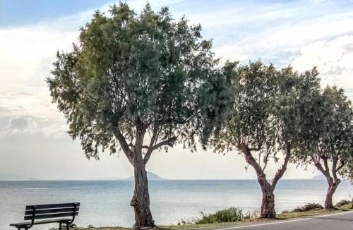 Aegina Town Apartment | Gemela AllstarBoutique in Aegina A
