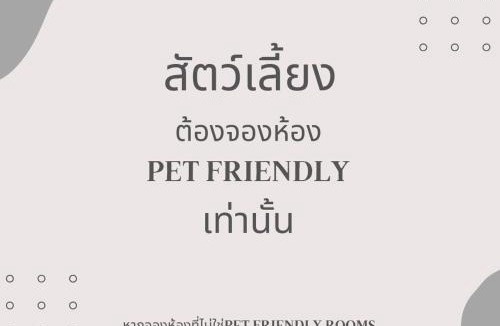 Chang Phueak Hotel | Get Zleep Premium Budget Hotel
