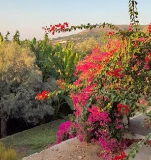 Pythagorio House | Greek Island Guest House Samos Island