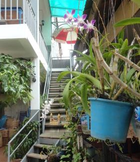 Siem Reap Bed & Breakfast | Green Park Village Guesthouse