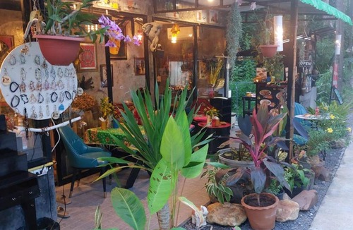 Khlong Sok Cabin | Green Valley Lodge