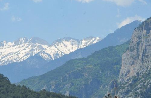 Litochoro Apartment | Guesthouse Papanikolaou