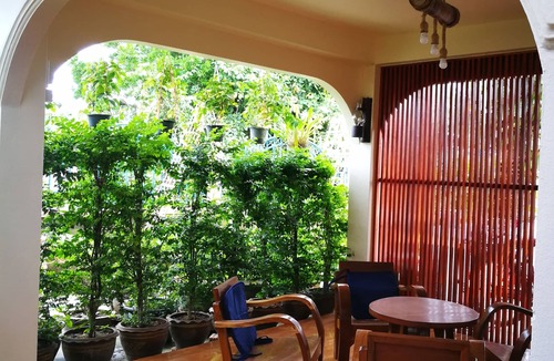 Chiang Rai House | Homestay and vegetable garden, non-toxic.