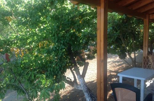Sitia Apartment | Hotel Petras Beach