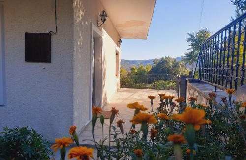 North Tzoumerka House | House in Lozetsi Village