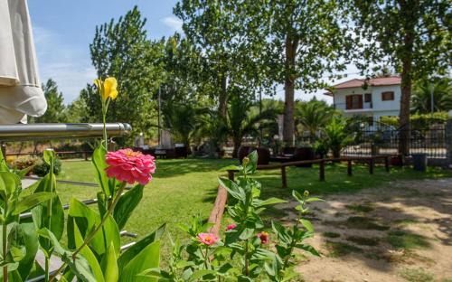 Sikia Apartment | House Rousko