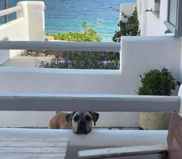 Skiros House | Ianthi Boutique Guesthouses Skyros