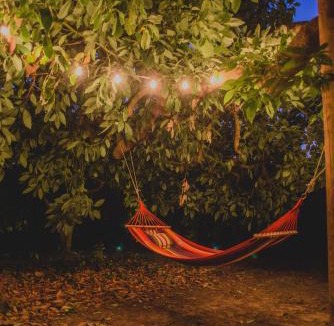 Pineios House | Irene's Treehouse