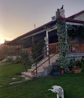Alexandroupoli House | Ivonnis Garden