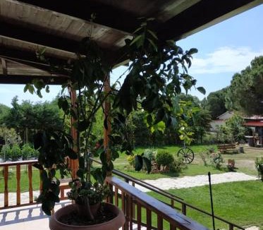 Alexandroupoli House | Ivonnis Garden
