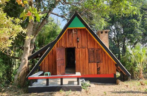 Pai House | Jungle zone pai