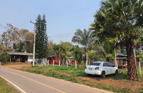 Pai House | Jungle zone pai