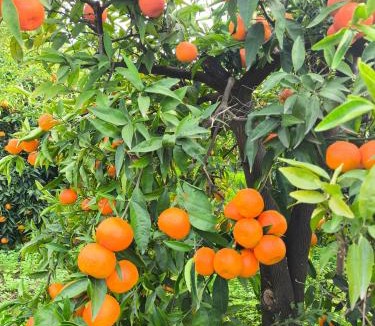 Nafplio House | Jutta's house