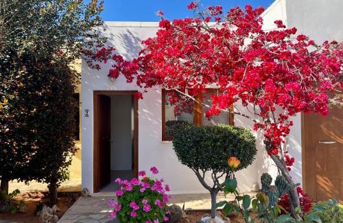Malia Apartment | Kali Holiday Apartments