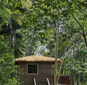 Khlong Sok House | Khao Sok Jungle Roots Resort