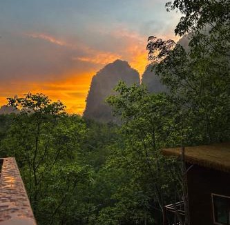 Khlong Sok House | Khao Sok Jungle Roots Resort
