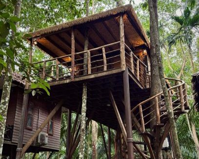 Khlong Sok Resort | Khao Sok Paradise Resort