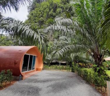 Khlong Sok Hotel | Khao Sok Saengtawan Resort And Camp