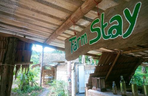 Khlong Sok House | Khaosok Eco House