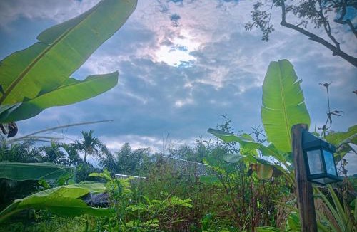 Khlong Sok House | Khaosok Eco House