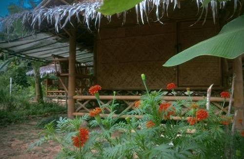 Khlong Sok House | Khaosok Eco House