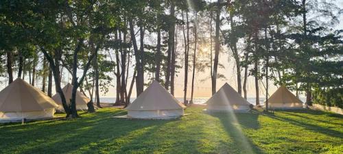 Talingchan Resort | Koala Glamping Krabi