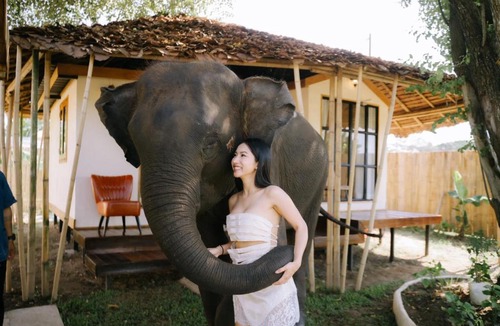 Mae Taeng Other | Kokongfai elephants camp