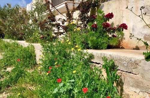 Ayia Napa Apartment | Ksilaki_B