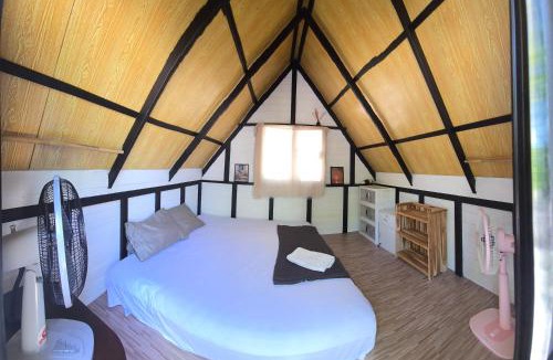 Koh Tao Other | La Lune's Koh Tao