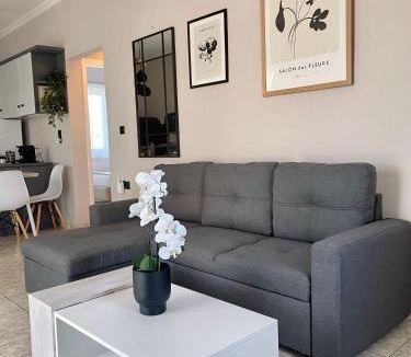 Psarou Apartment | La Nostra Casa Apartments 2