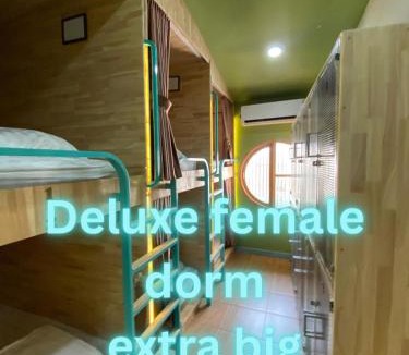 Old City Hostel | La Vida Hostel Chiang Mai