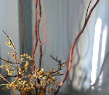 Florina Apartment | Lavender house