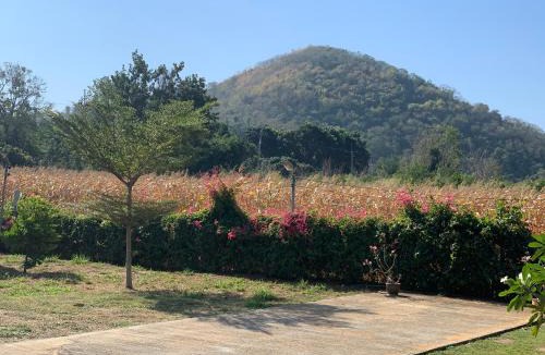 Nong Nam Daeng House | Lek Village Khaoyai