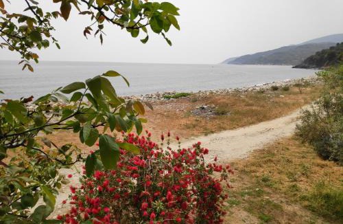Zagora-Mouresi House | Lemongarden by the sea