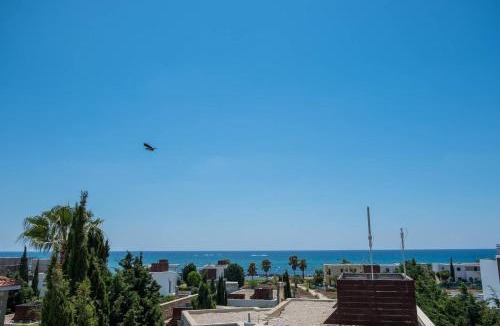 Paphos Villa | LightHouse View Villa